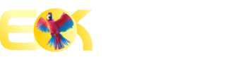 Betfair futebol - 9552bet